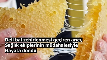 Deli bal zehirlenmesi geçiren arıcı, sağlık ekiplerinin müdahalesiyle hayata döndü