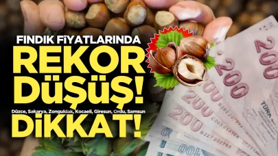 Fındık Üreticisi Kaygıda: Taban Fiyat Tartışması ve Düşen Piyasalar!