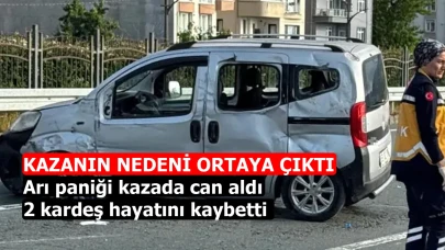 Arı paniği kazada can aldı: 2 kardeş hayatını kaybetti