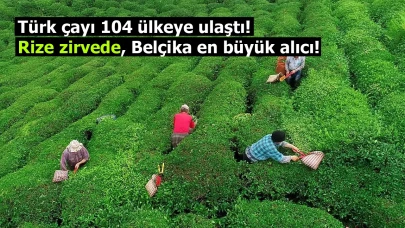 Türk çayı 104 ülkeye ulaştı! Rize zirvede, Belçika en büyük alıcı!