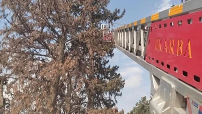 Düden Şelalesi'nden denize düşme ihbarı ekipleri harekete geçirdi, arama çalışmaları sürüyor