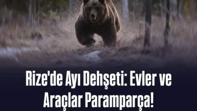 Rize'de Ayı Dehşeti: Evler ve Araçlar Paramparça!