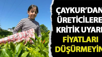 ÇAYKUR'dan üreticilere kritik uyarı! "Fiyatları düşürmeyin"