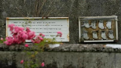 İrlanda'da 796 bebeğin gömülü olduğuna inanılan alanda kazı başlatıldı