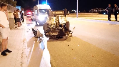 Tilkiye çarpmamak için manevra yapınca takla attı