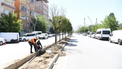 Muş Belediyesi’nden İstasyon Caddesi’nde Yeşillendirme ve Sulama Atağı