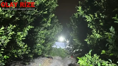 Adana’da Eğitim Uçağı Talihsiz Kaza Geçirdi: Pilot ve Yolcu Yaralı!