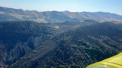 Afyonkarahisar'daki örtü yangını söndürüldü