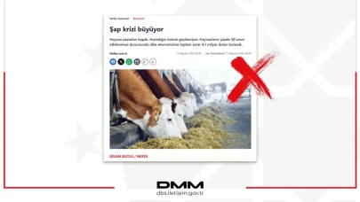DMM'den şap hastalığı iddialarına yalanlama