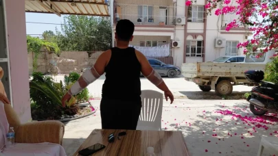 Hatay'da başıboş köpek dehşeti