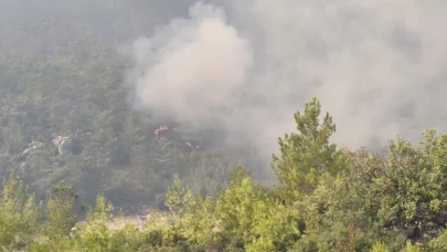 Mersin ve Hatay'daki orman yangınları sürüyor