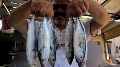 Palamut Fiyatları Rekor Kırdı: Tezgahlar Şenlendi Cebler Sarsıldı!