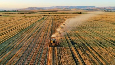 Tarım ÜFE temmuzda azaldı