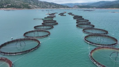 Tokat'tan 29 Ülkeye Balık İhracatı Gerçekleşti!