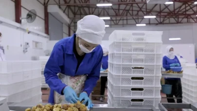 14 ülkeye ürün gönderen dev firma mali darboğazda!