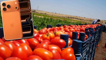 Şaşırtan Karşılaştırma: 20 Ton Domates Eşdeğeri iPhone 17