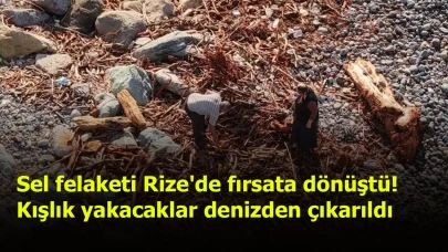 Sel felaketi Rize'de fırsata dönüştü! Kışlık yakacaklar denizden çıkarıldı