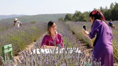 Mor Altın Yağı ve Çiçeğiyle Ekonomiye Katkı: Küçük Bahçelerle Büyüyen Karlar