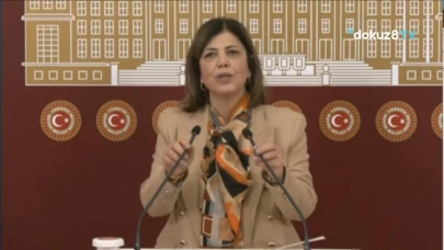 Meral Danış Beştaş'tan Rojin Kabaiş'in ölümüyle ilgili sosyal medya paylaşımlarına getirilen erişim engeline tepki