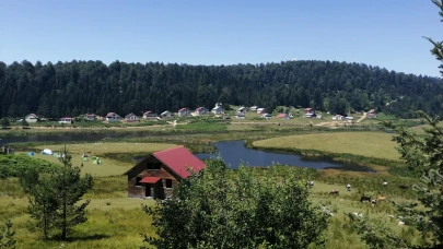 Sakarya Kamp Alanları: Doğayla Baş Başa Huzurlu Bir Deneyim