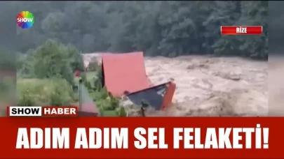 Sel önüne çıkanı sürükledi!