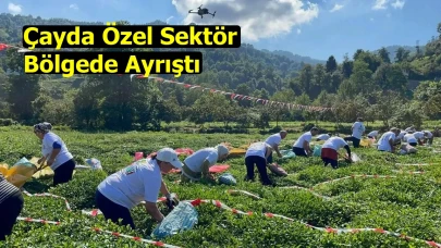 Çayda Özel Sektör Bölgede Ayrıştı
