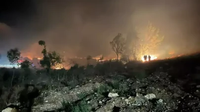 Ege'nin Cennet Köşesinde Korkutan Anlar: Muğla'da 7 Ayrı Yangın Alarmı!