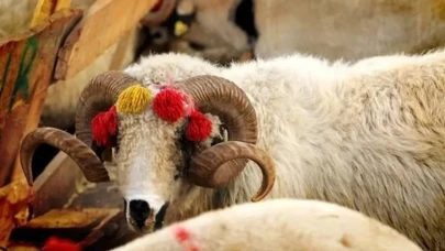 Kurban İbadeti: Önemli Dua Arapça ve Türkçe Okunuşlarıyla Derlendi!