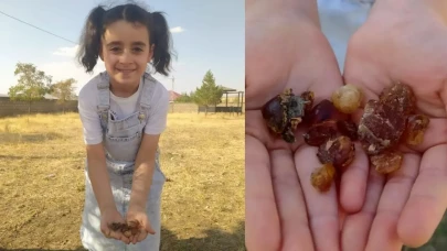 Patnos’ta Çam Sakızı: Doğal Şifanı Yeniden Keşfet - Yurttaş Haber