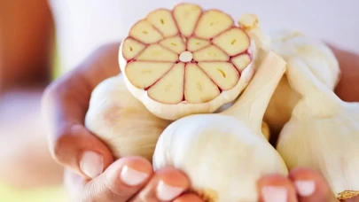 Sarımsağın 10 faydası! 1 dişi ilaç, fazlası zehir