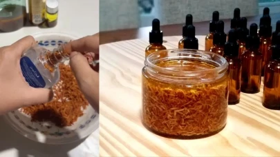 Avokado Çekirdeği Rendeleyip Zeytinyağıyla Tüketmek Yeni Sosyal Medya Modası Haline Geldi!