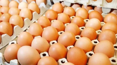 Yumurtanın Bozuk Olduğunu Anlama Yöntemleri: Bilmeniz Gerekenler!