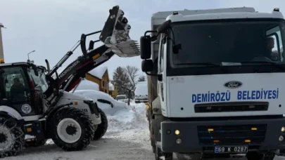 Demirözü'nde karla mücadele çalışmaları hız kesmeden devam ediyor