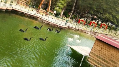 Uşak Gezi Rehberi ve Gezilecek Yerler 2026