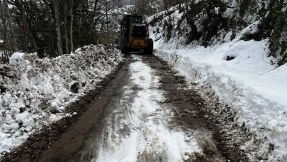 Karla mücadelenin yanı sıra altyapıda parke yenileme çalışmaları hız kesmiyor