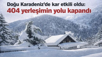 Doğu Karadeniz’de kar etkili oldu: 404 yerleşimin yolu kapandı