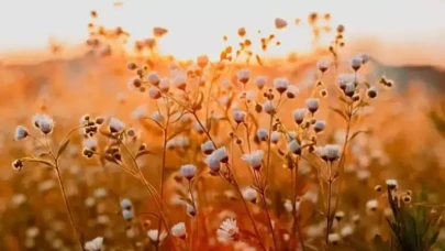 İlk cemre havaya ne zaman düşecek? 2026 cemre düşme tarihleri