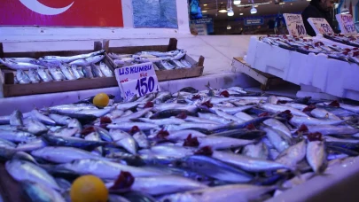 Ne hamsi ne palamut: Tezgahın şampiyonu! Kilosu 100 TL...