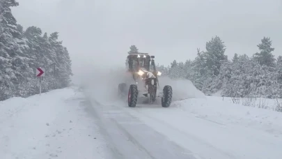 Rize, Gümüşhane, Giresun ve Artvin'de 404 yerleşim yerine ulaşım sağlanamıyor