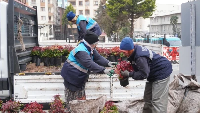 Rize Belediyesi Yaz Mevsimi İçin Bitkilendirme Çalışmalarına Başladı