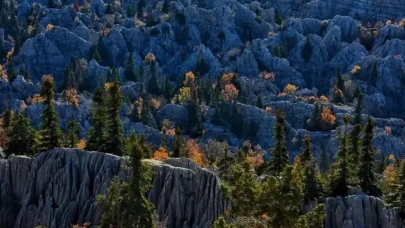 Cengiz’e hiçbir karar işlemiyor: Koruma altındaki alanda maden arama izni