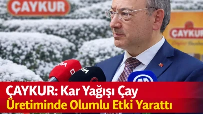 ÇAYKUR: Kar Yağışı Çay Üretiminde Olumlu Etki Yarattı