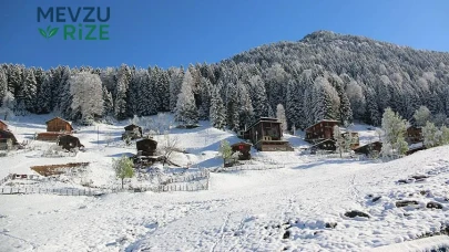 Ayder Yaylası’na Nasıl Gidilir?