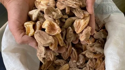 Karın soğuğuna Kastamonu usulü siper! İçen dağ gibi devleşiyor: "Sırrı içindeki doğal taşköprü salebinde"