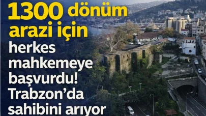 1300 dönüm arazi için herkes mahkemeye başvurdu! Trabzon'da sahibini arıyor