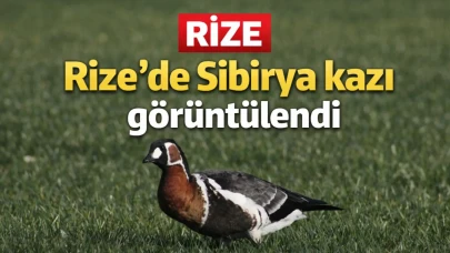Rize'de Sibirya kazı görüntülendi