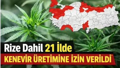 Rize Dahil 21 ilde kenevir üretimine izin verildi