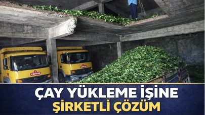 Çay yükleme işine şirketli çözüm