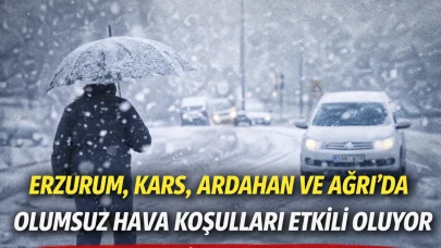Erzurum, Kars, Ardahan ve Ağrı'da olumsuz hava koşulları etkili oluyor