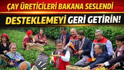 ÇAY ÜRETİCİLERİ BAKANA SESLENDİ. DESTEKLEMEYİ GERİ GETİRİN